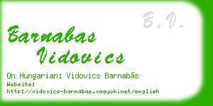 barnabas vidovics business card
